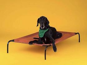Coolaroo lit pour chien - Taille Grand :Photo 4