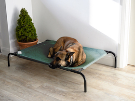 Coolaroo lit pour chien - Taille Grand :Photo 9