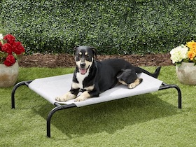 Coolaroo lit pour chien - Taille Moyen : Photo 6