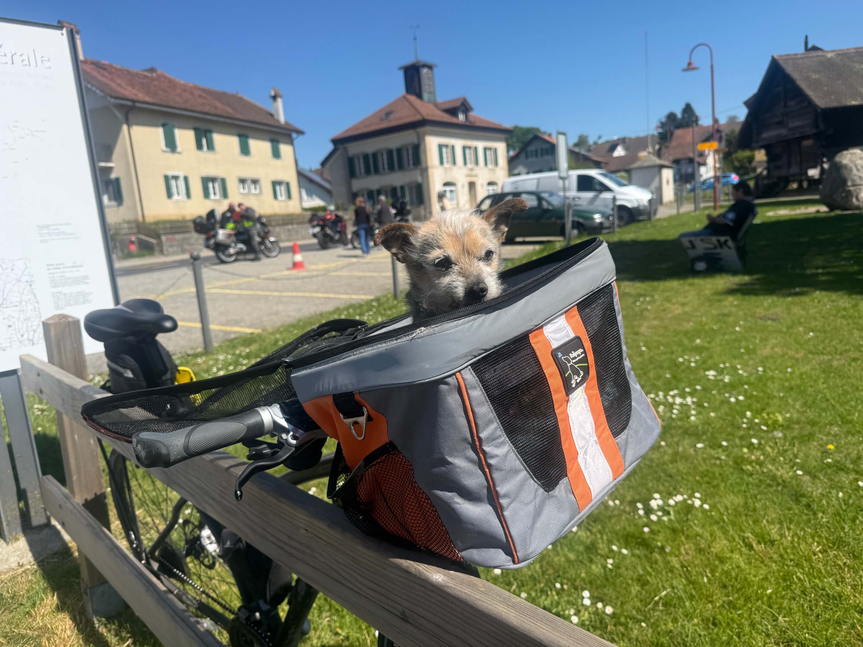 Marmite nous accompagnant lors d'une sortie à vélo